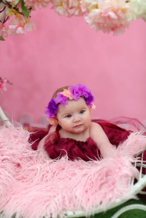 混血新生儿宝宝写真图片